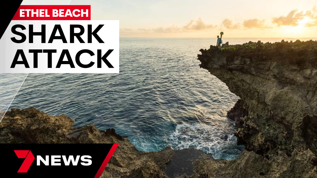 Teen killed in shark attack on Yorke Peninsula