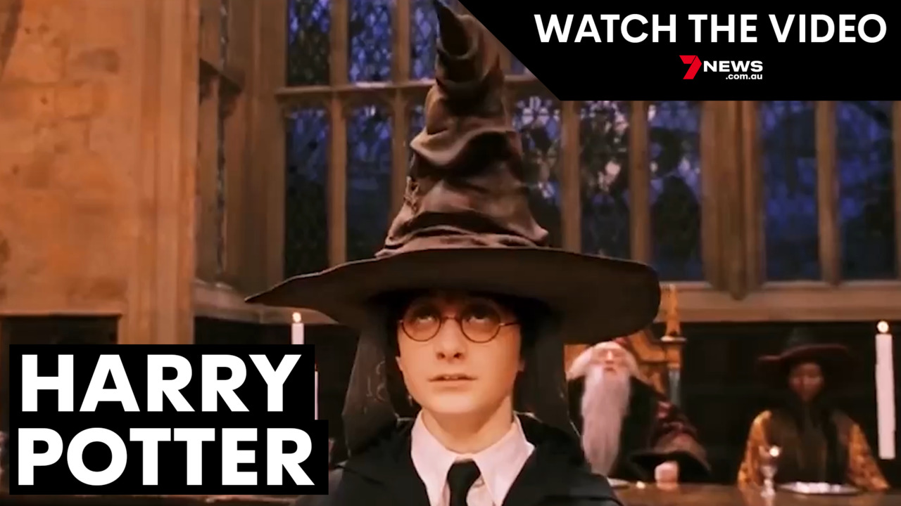 sorting hat therapy