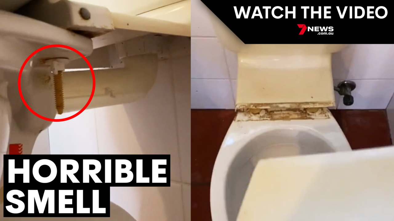 finds for your toilet, Video published by Corbin