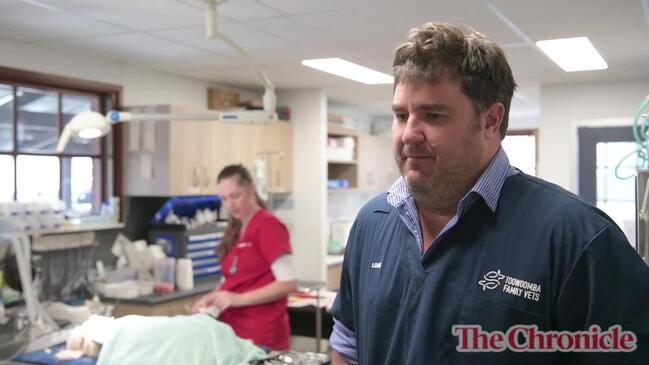 WATCH: Toowoomba vet on malicious animal poisonings The
