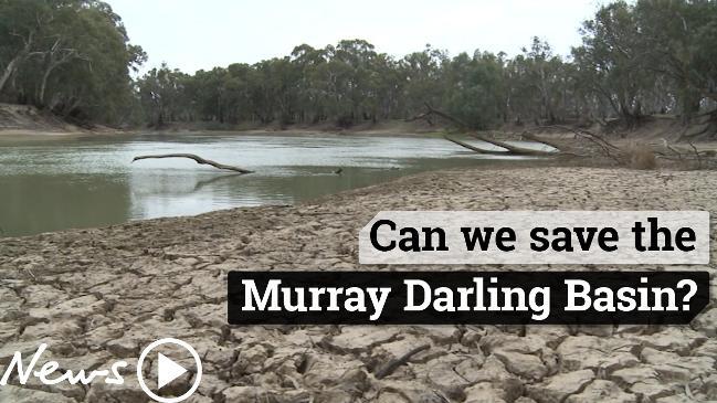 Murray Darling Dodgy Policies Killing Iconic Australian River - 