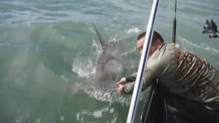 Shark Fishing with Bill Goldschmitt