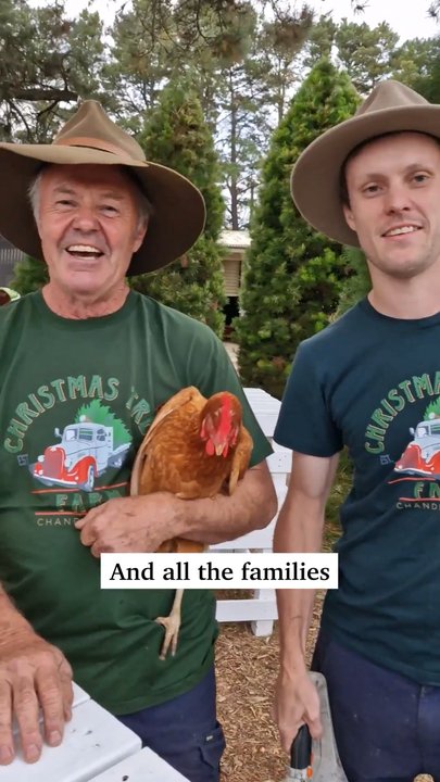 Holiday cheer at the Christmas Tree Farm | The Advertiser