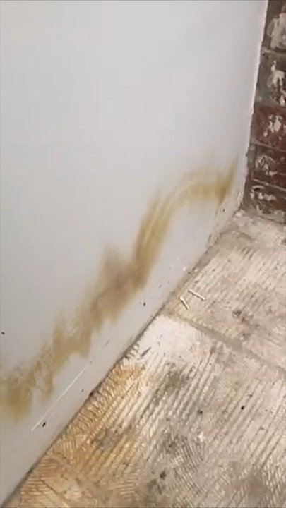 Retiree devastated over “shonky” build | news.com.au — Australia’s ...