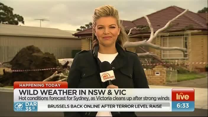 Wild weather lashes Melbourne The Weekly Times