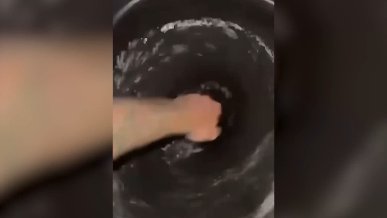 NRL 2025: Reece Walsh drinks toilet water, Brisbane Broncos