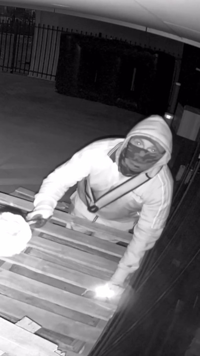 Thieves steal $120K of sex toys
