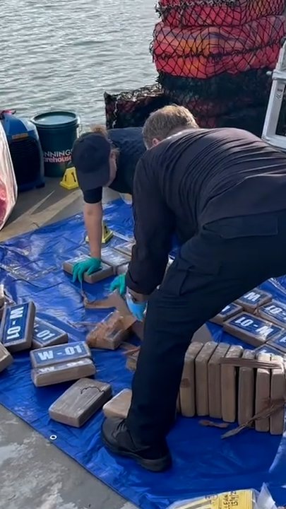 Bikie gang charged in largest cocaine bust in Australia | The Courier Mail