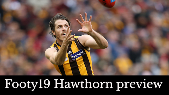 Australian rules AFL VFL history: Hawthorn Football Club's rise to