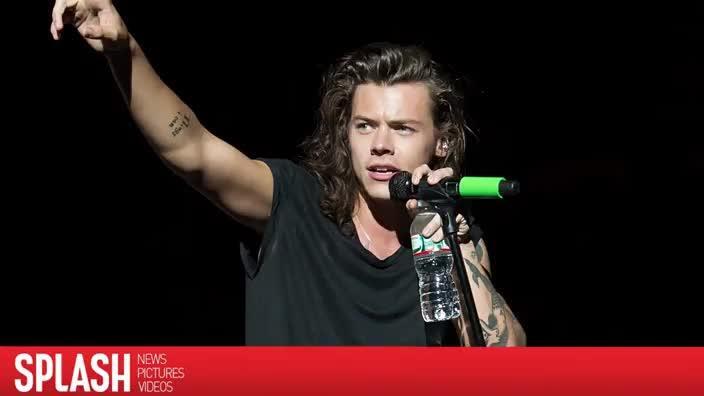 Harry Styles hasn't dated in a long time Daily Telegraph