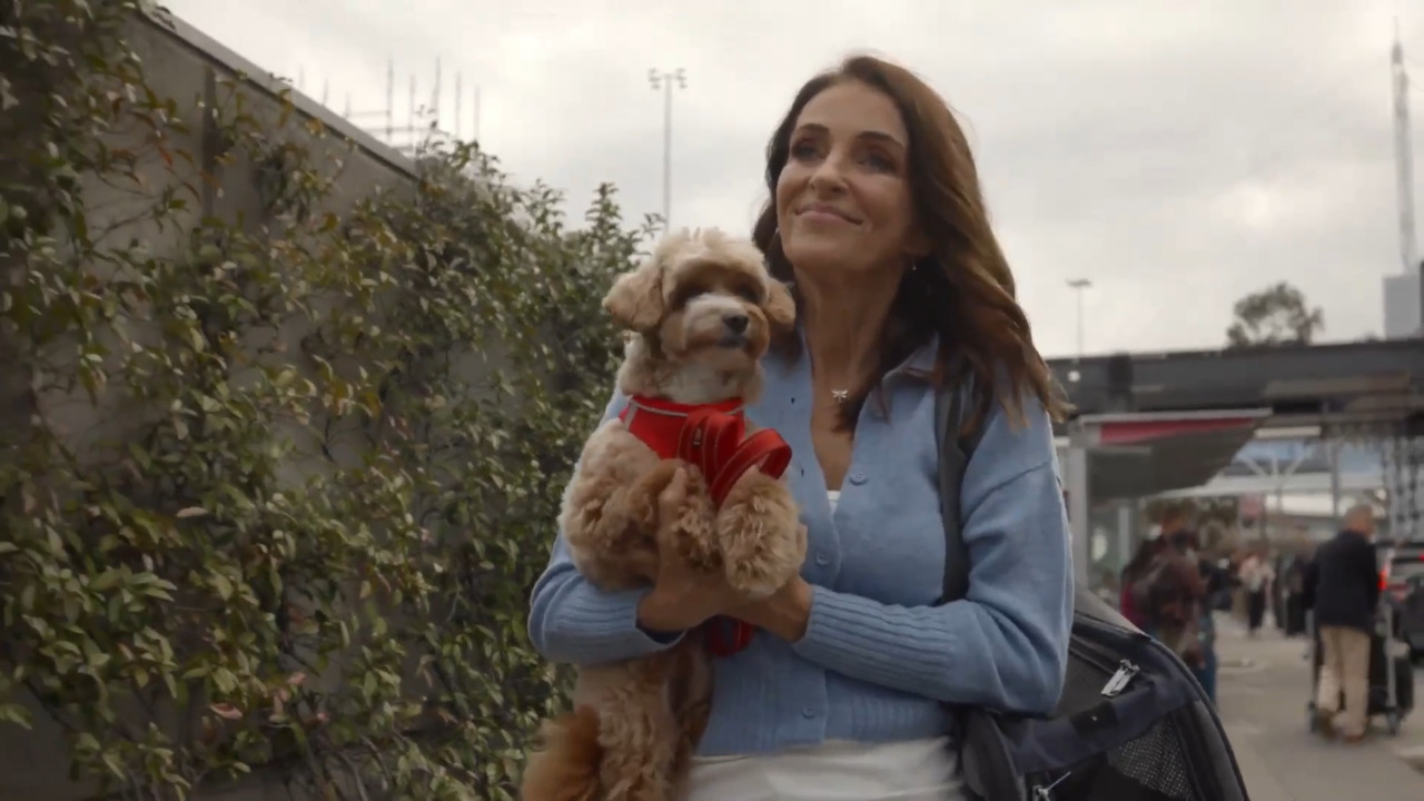 Virgin Australia launches first-ever pet cabin flights on domestic