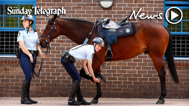 mounted police boots