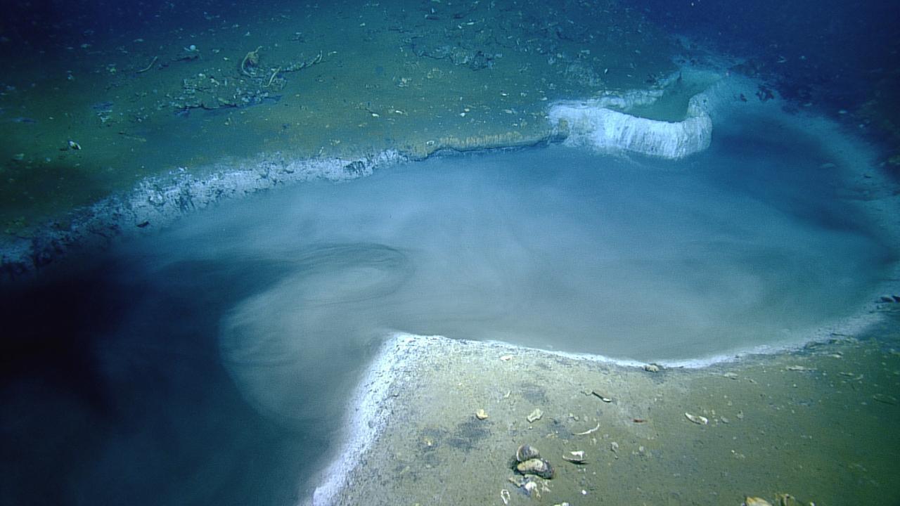 Scientist explore “jacuzzi of death” beneath the sea | Daily Telegraph