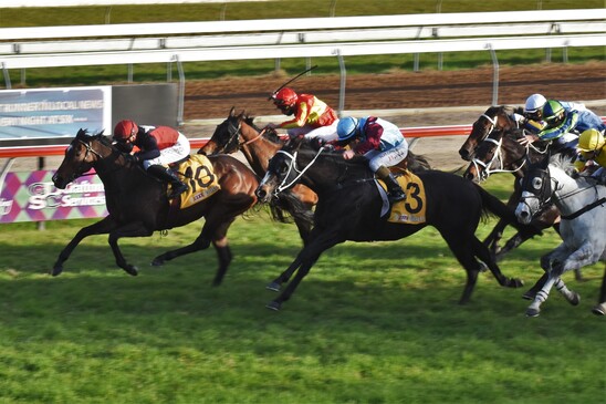 How Townsville horse trainer Georgie Holt has helped break the