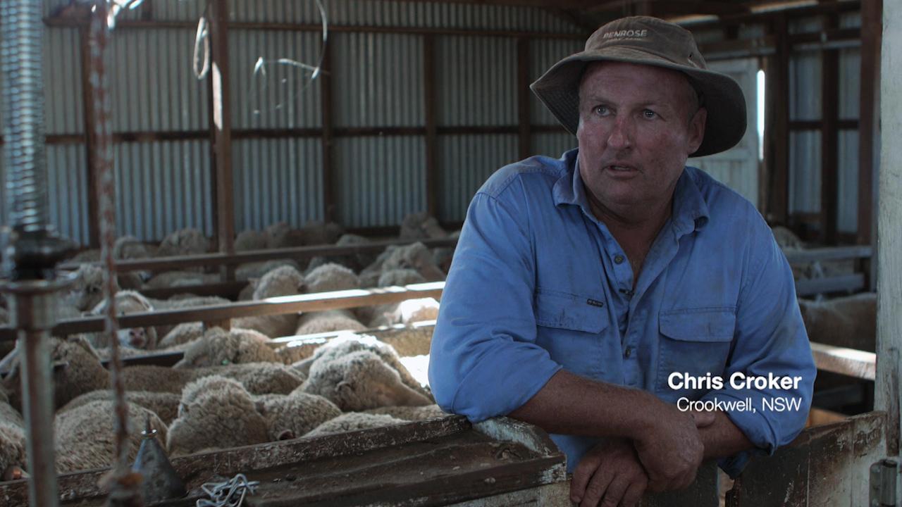 Learning on the land a path to on-farm success for Chris Croker | The  Weekly Times