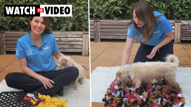 Dog food: Dr Danni Dusek explains what to feed your puppy, adult