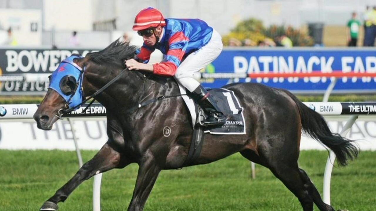 Brand new Gai: The gun trainer taking over racing Daily Telegraph