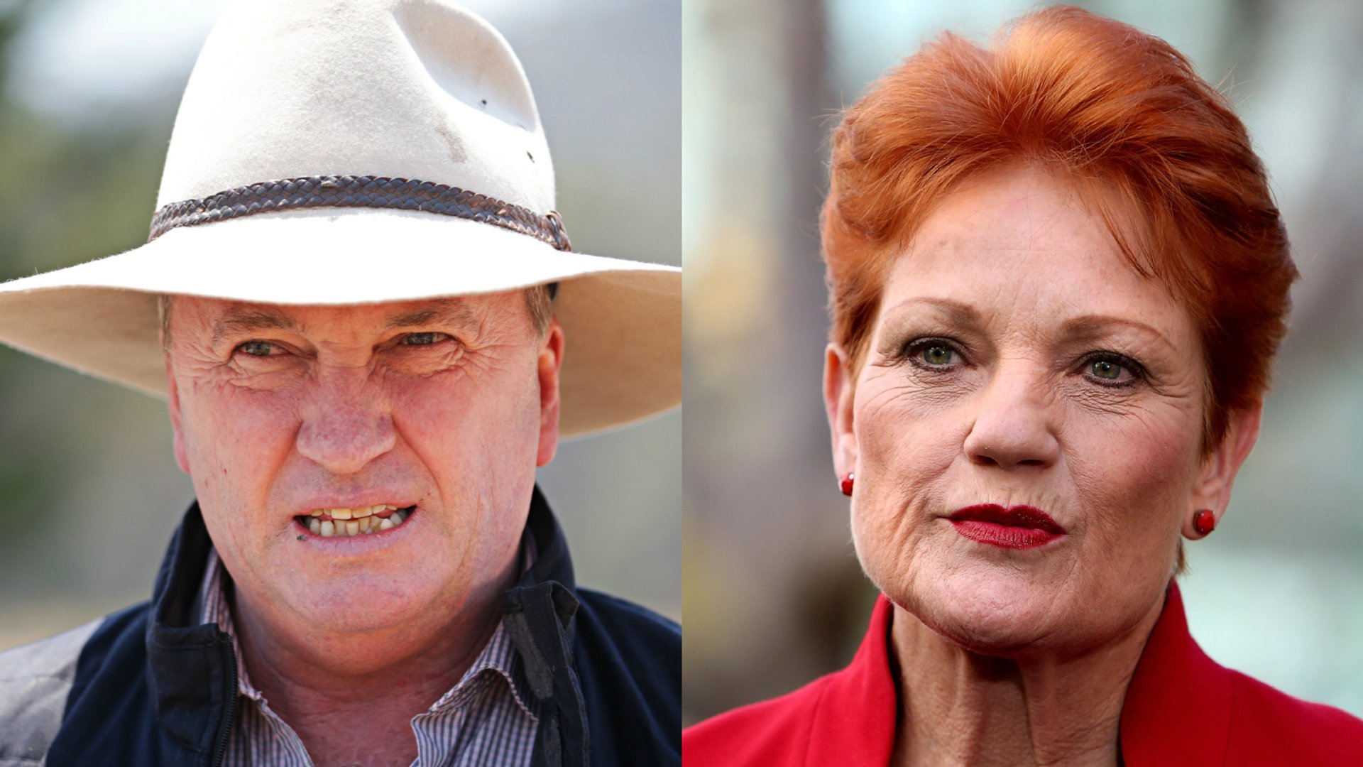 Barnaby Joyce backs Pauline Hanson for PM amid criticisms ...