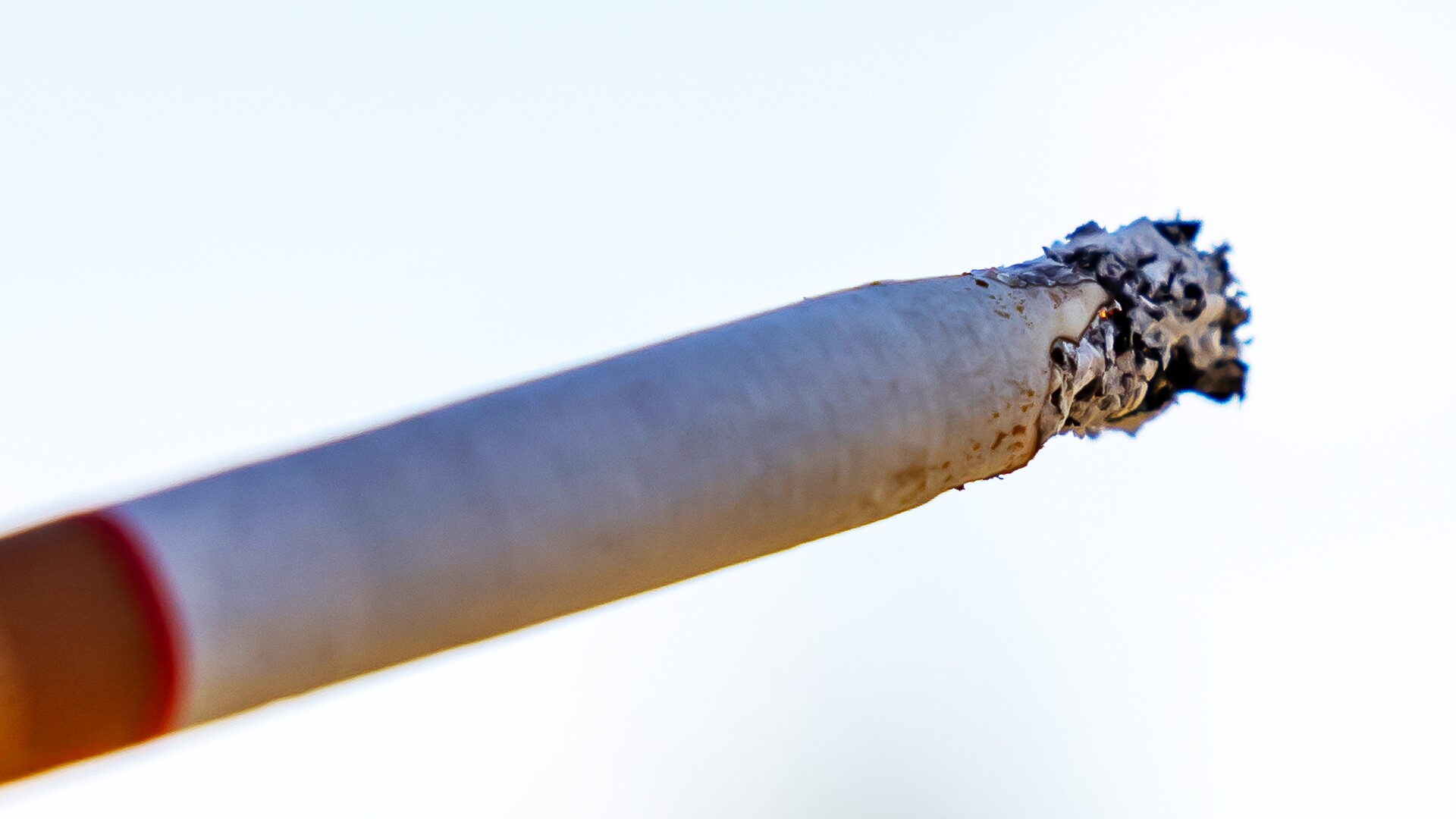 joe's tobacco Smokin Joes Menthol Filtered Cigars