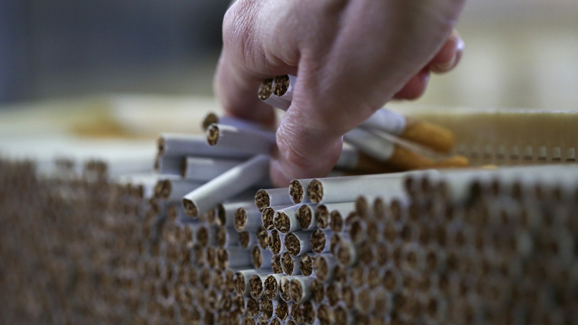 tobacco as a carcinogen Then vs Now: The Reality of “Cancer Sticks” 🚭🍖 What was once tobacco in  1950 has now evolved into processed meat in 2025. Both carry serious health  risks — and both are