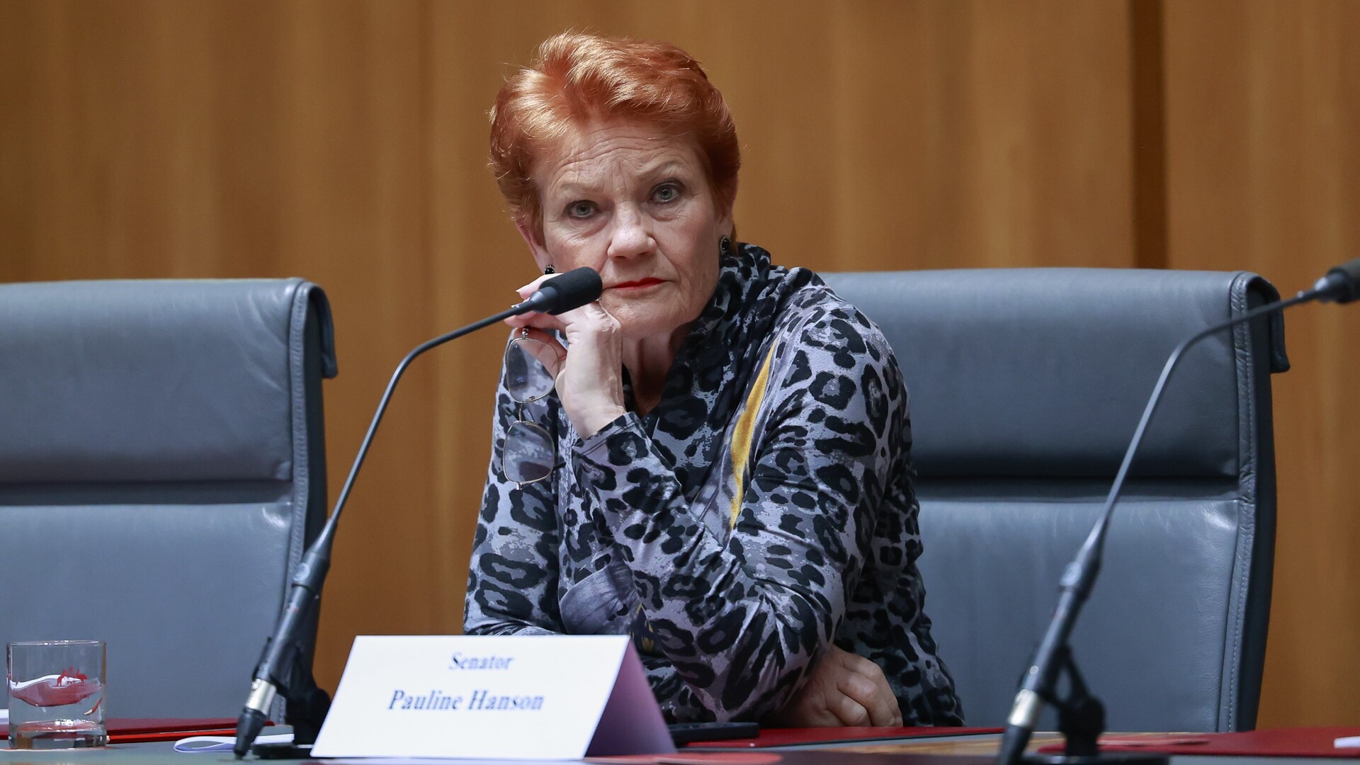 'Not good enough': Hanson claims Palestinians seeking ...