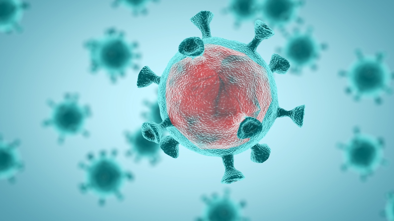 adoption program greyhound racing adoption