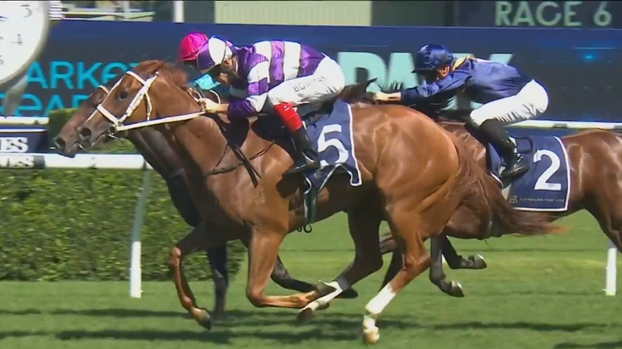 Racegoers for The Star Championships get tips on budget outfits