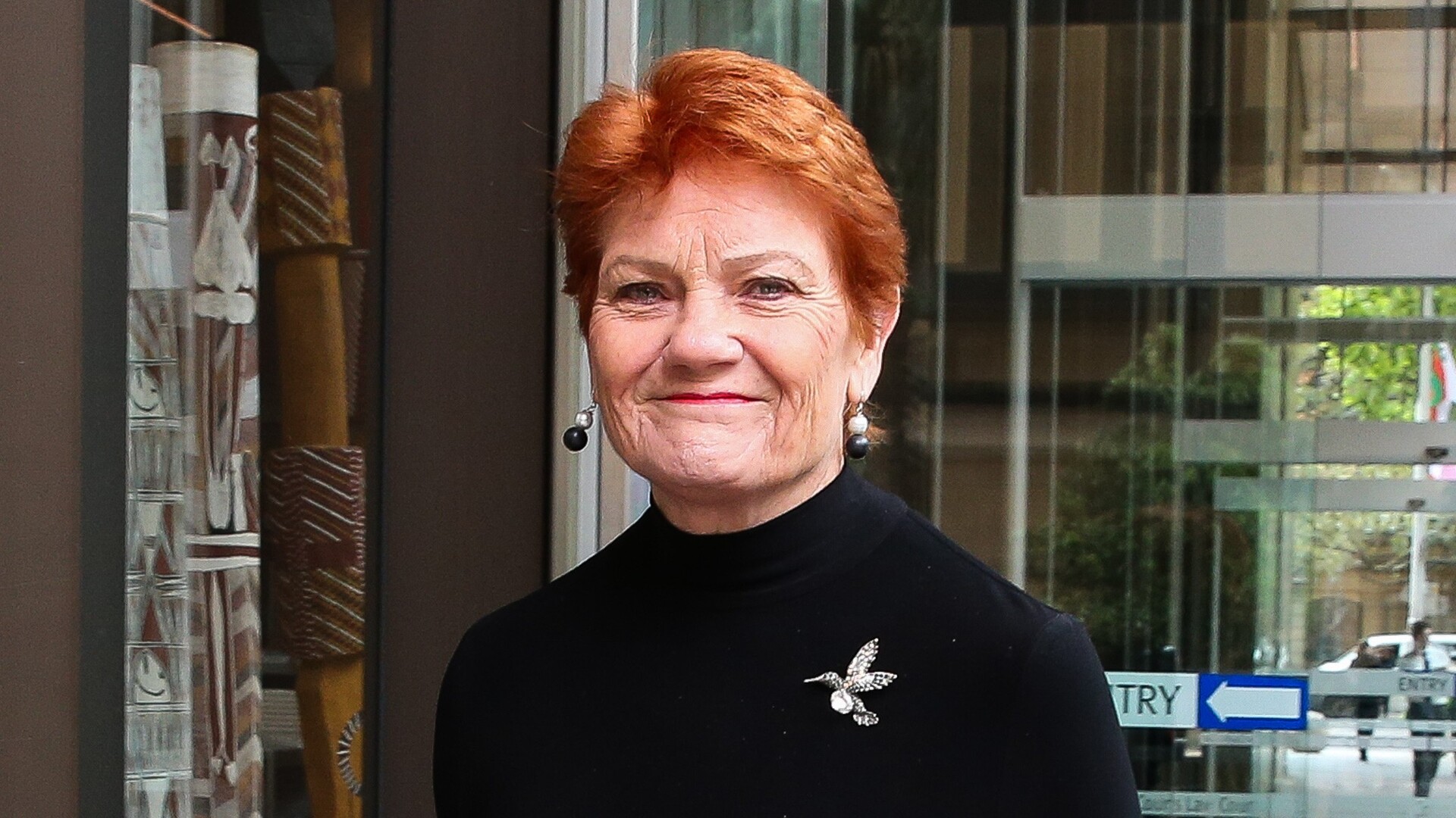 ‘It ain’t a fluke’: Support for One Nation party surges in polling