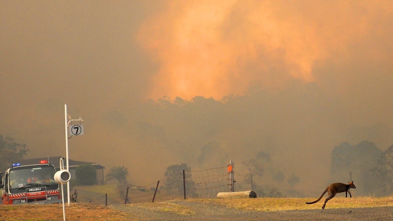 Nearly 90 fires continue to burn across NSW Sky News Australia
