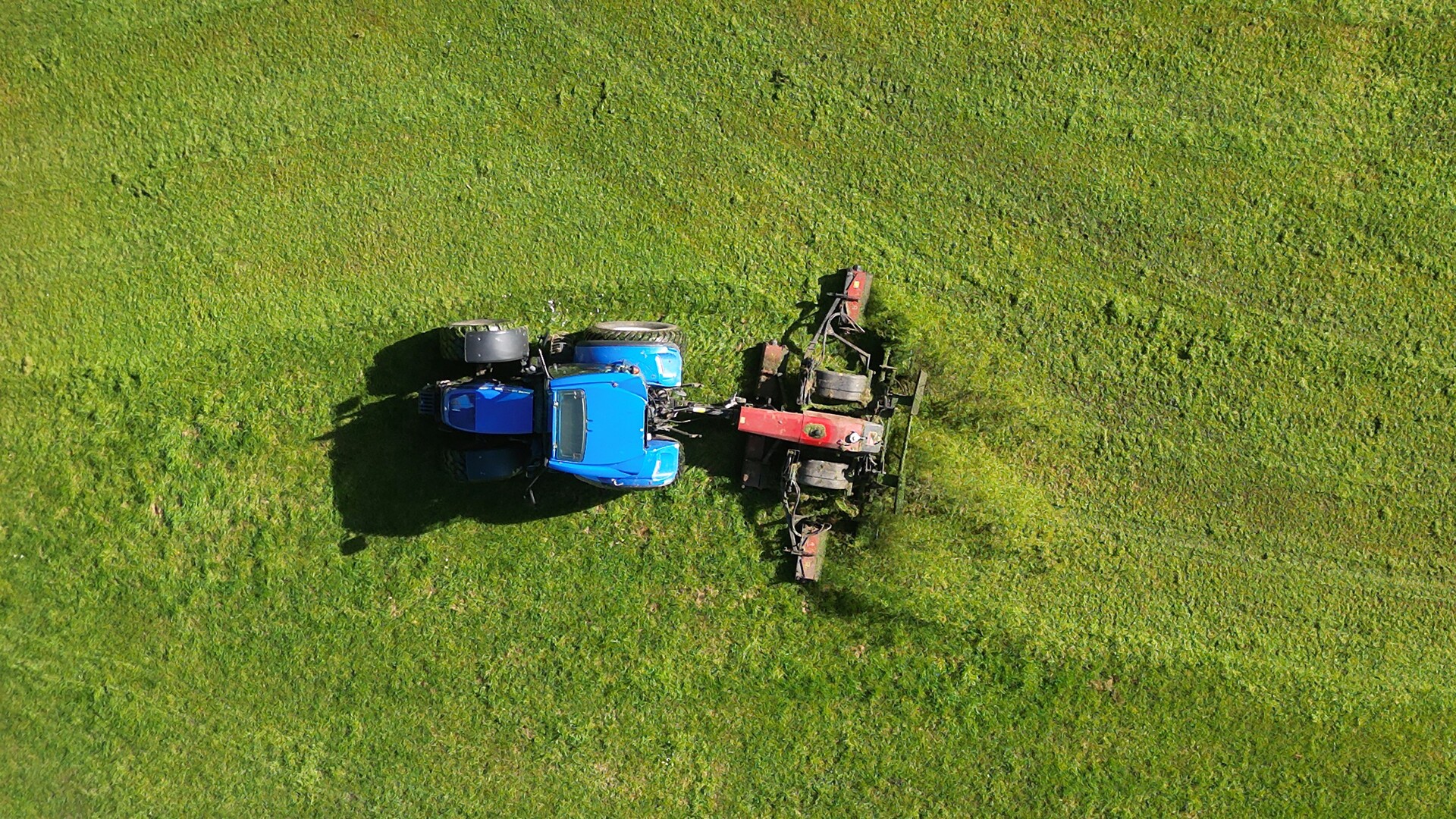 Jim's Mowing founder to back the Libertarians in Victoria's