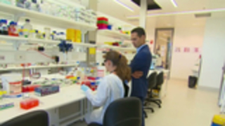 Genetics could help allergy sufferers