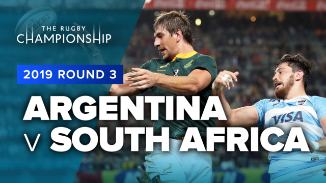 argentina south africa rugby