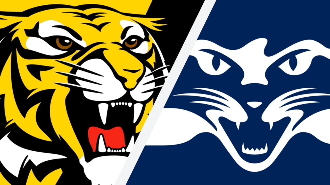 Highlights Richmond V Geelong