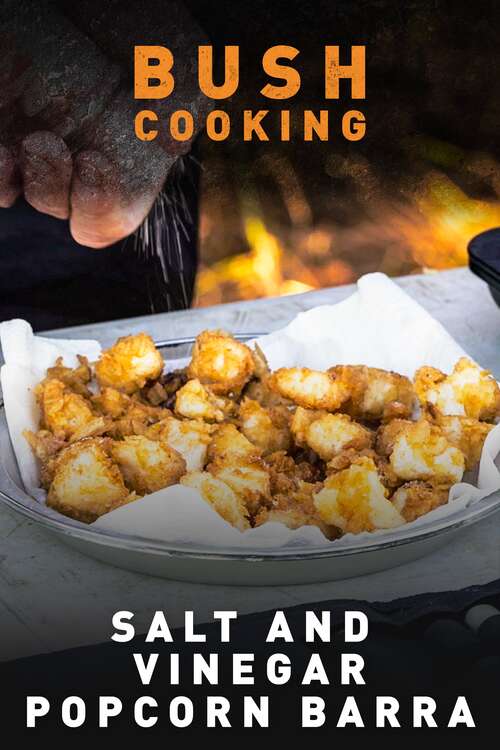 Salt and Vinegar Popcorn Barra