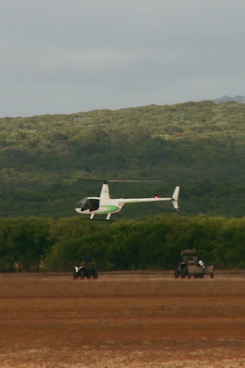 s01e03 | Between a Croc and a Hard Place