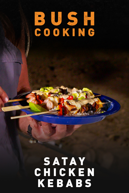 Satay Chicken Kebabs