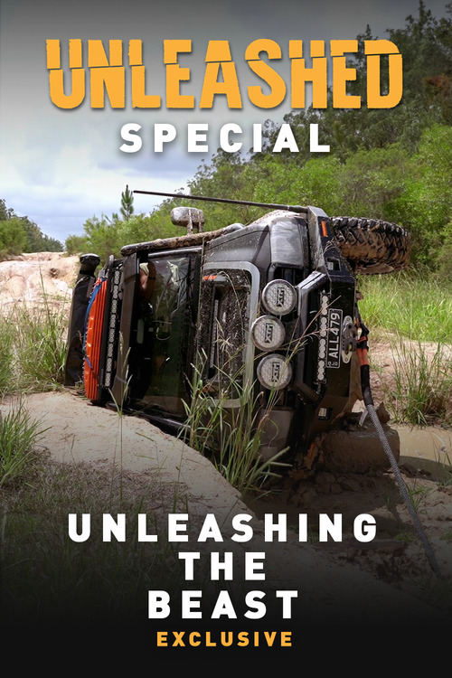 Unleashing the Beast