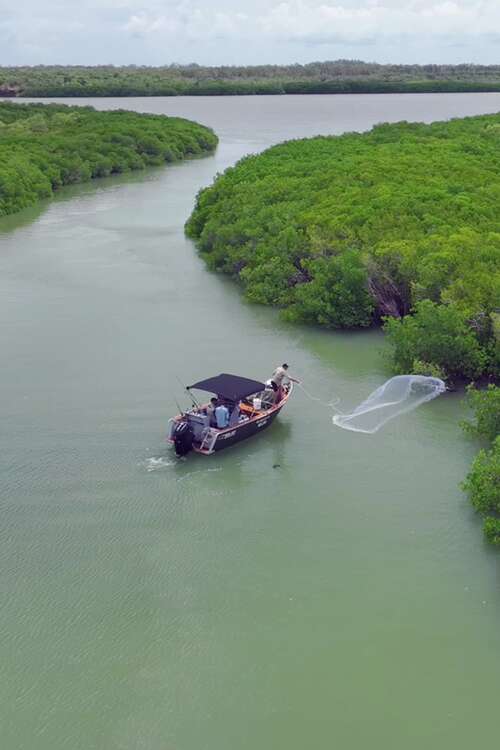 s08e03 | Barra or Bust - Weather or Not