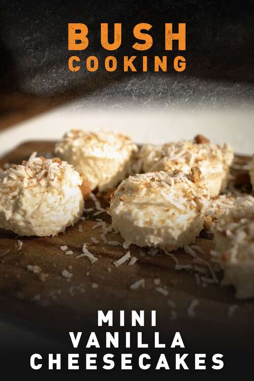 Mini Vanilla Cheesecakes