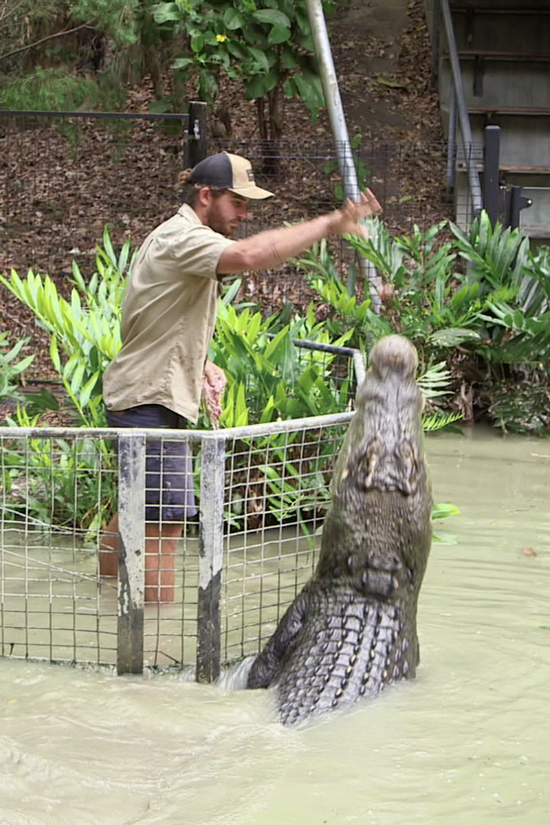 s03e04 | We Will Croc You