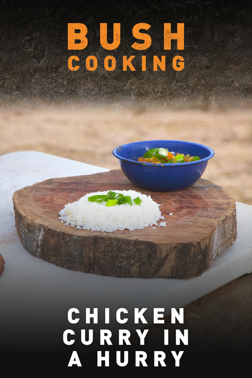 Chicken Curry in a Hurry