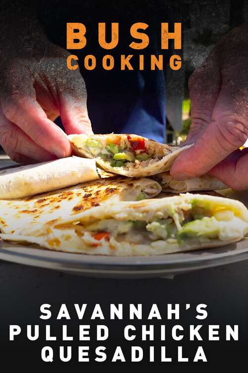 Savannah's Pulled Chicken Quesadilla