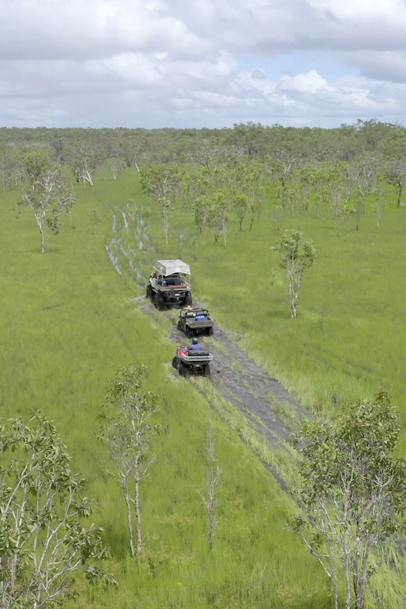 s05e04 | The Bird and the Beasts