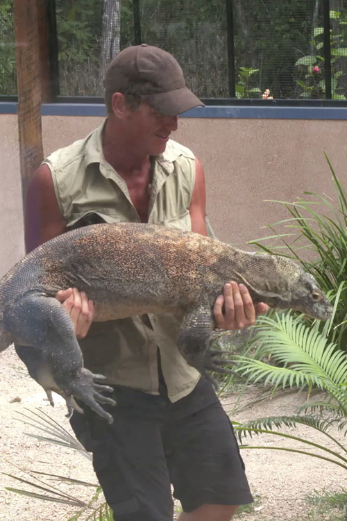 s03e04.6 | Bonus Footage: Komodo Dragon