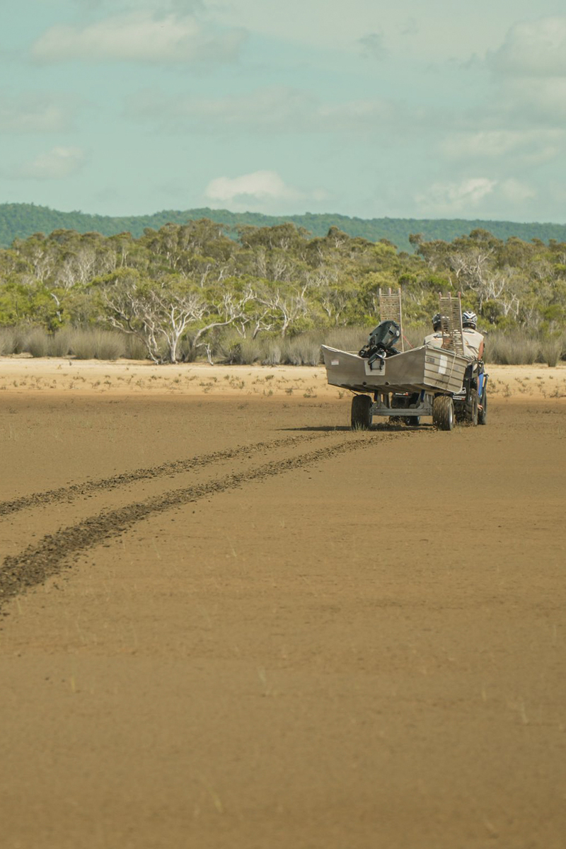 s06e04 | Lure of the Honey Hole