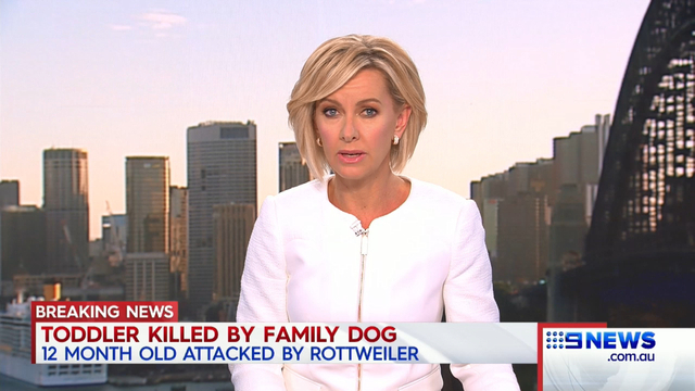 Baby killed in dog attack in northern NSW