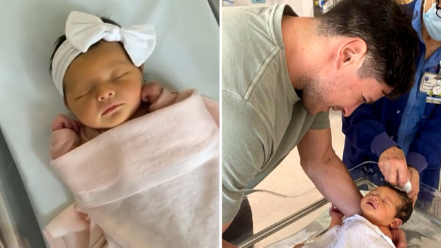 NRL Grand Final 2022: Parramatta Eels, Andrew Johns praises Mitchell Moses  partner Bri Gardoni after missing birth of first child