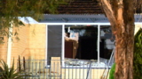 House in Melbourne's north destroyed by fire