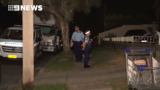 Police investigate alleged Sydney assault 