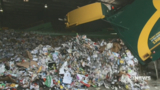 War of words erupts after Ipswich council ditches recycling